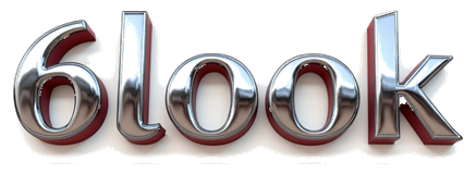 6look logo